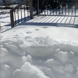 Meet your Posher, Emma